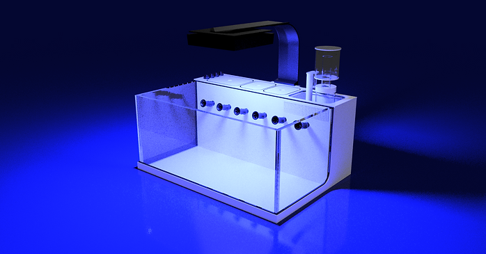 THE POLYP PROS - Large Desktop Tank