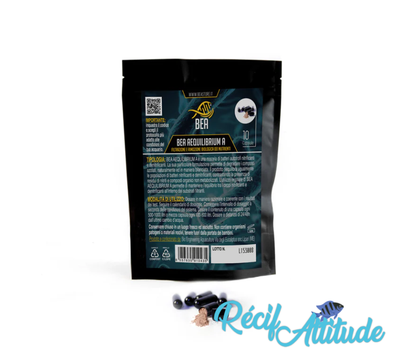 BEA Aequilibrium Kit complet