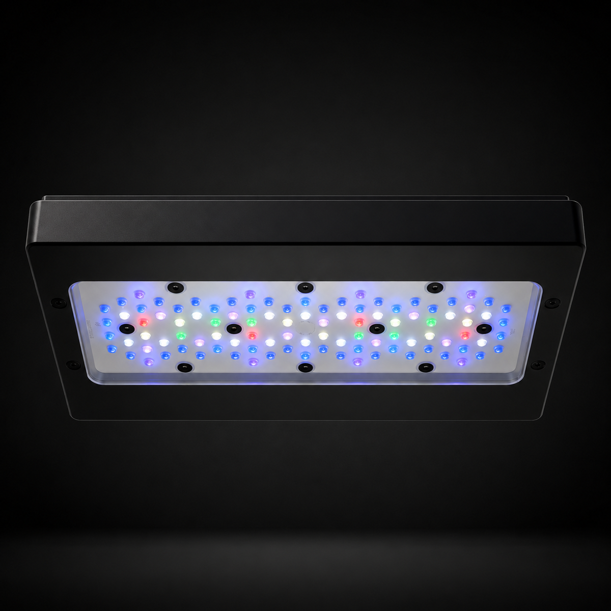 Radion XR30 G6