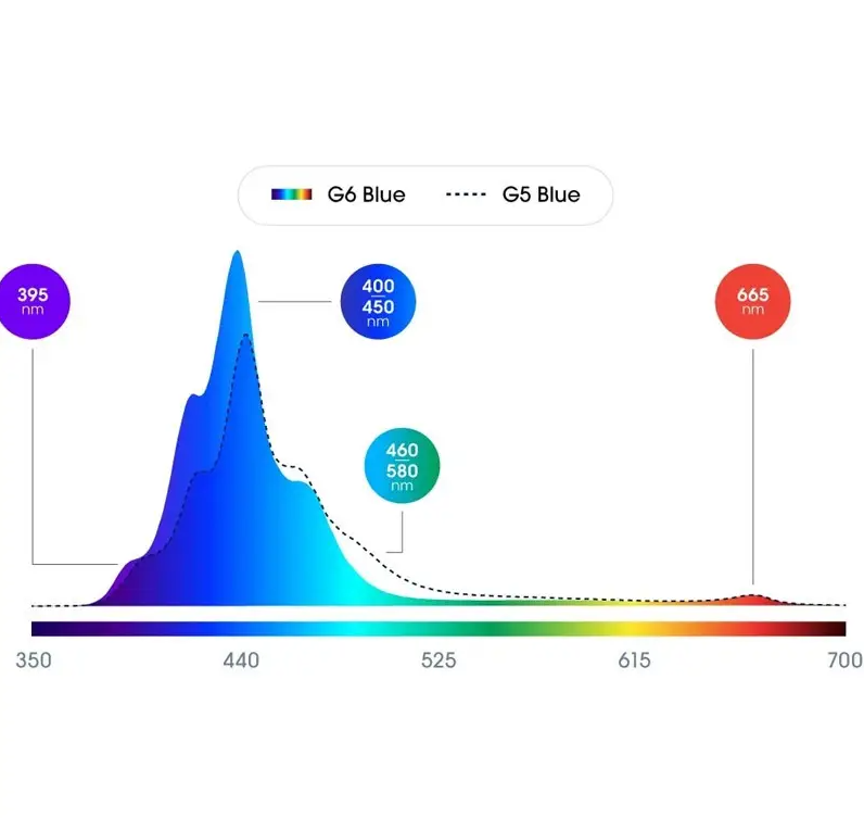 Radion XR15 G6 Blue