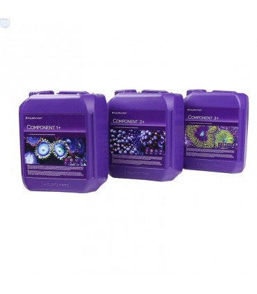 AQUAFOREST Component 1+, 2+, 3+ 3x5l