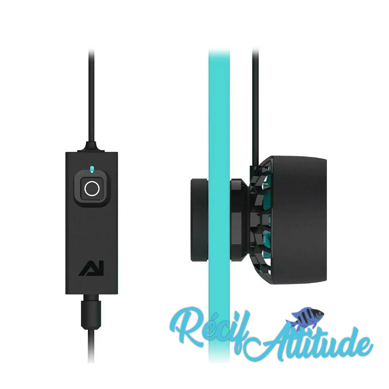 Nero 5 - Wave Pump