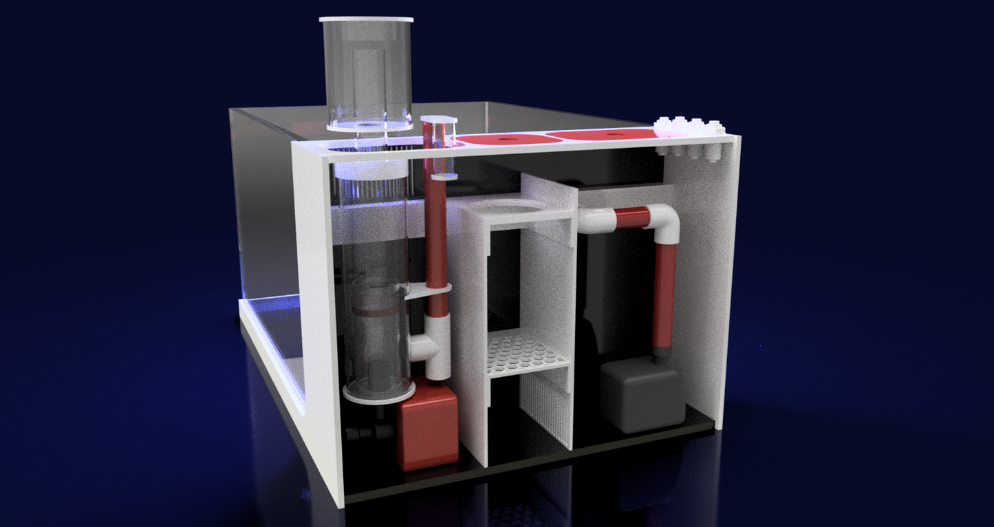 THE POLYP PROS - Nano Tank Gen 2