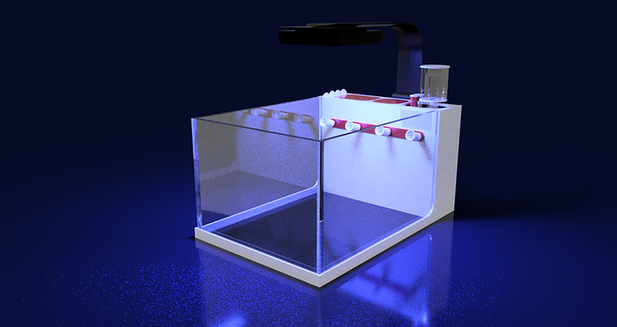 THE POLYP PROS - Nano Tank Gen 2