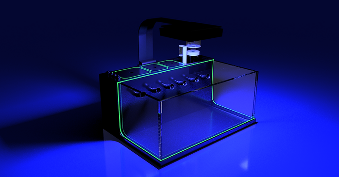 THE POLYP PROS - Large Desktop Tank