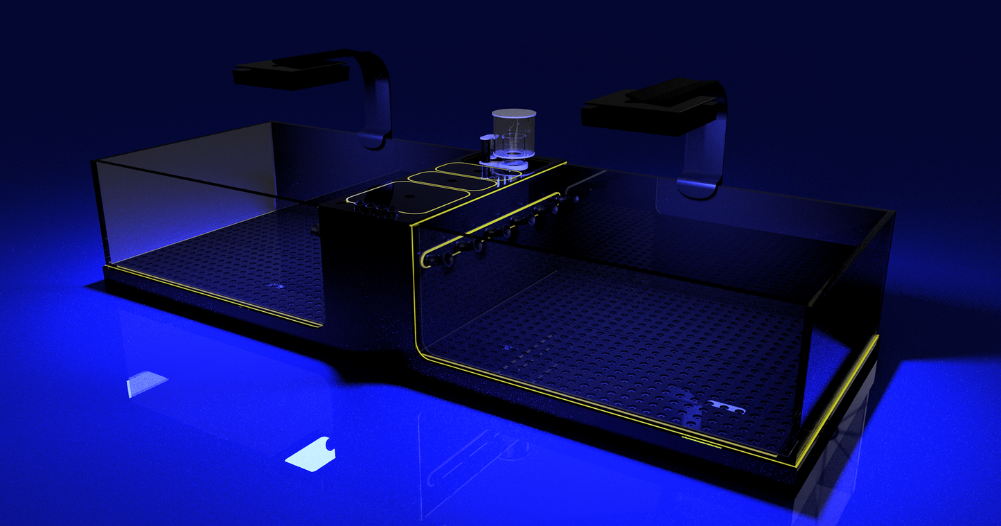 THE POLYP PROS - Frag Tank Double XL