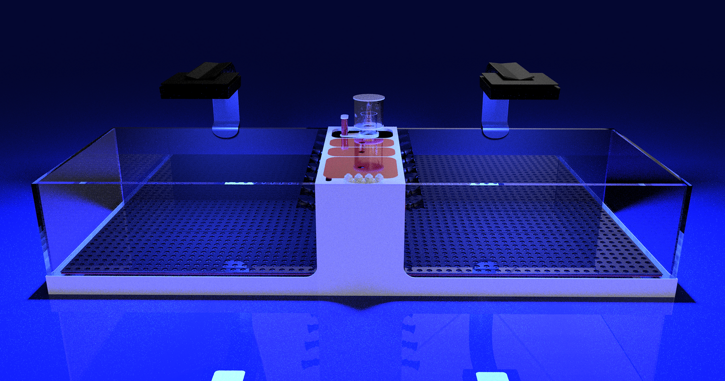 THE POLYP PROS - Frag Tank Double XL