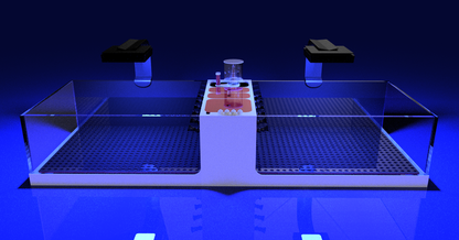 THE POLYP PROS - Frag Tank Double XL