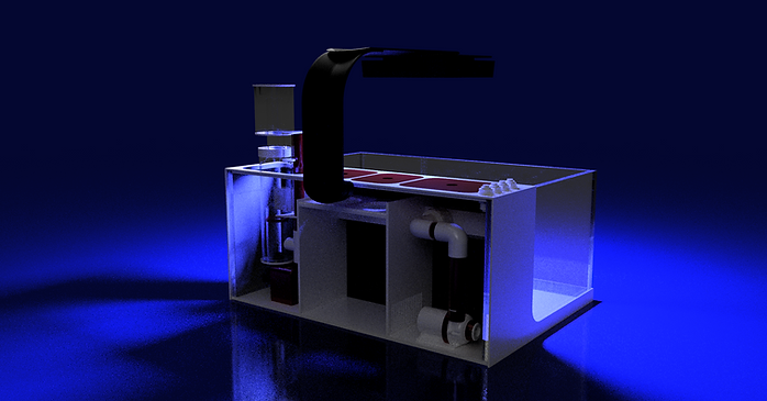 THE POLYP PROS - Large Desktop Tank