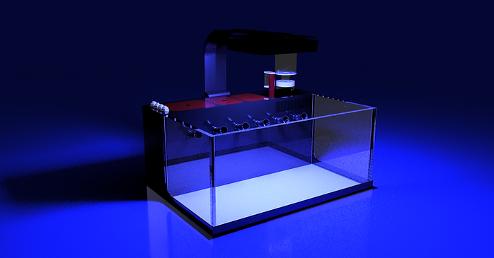 THE POLYP PROS - Large Desktop Tank