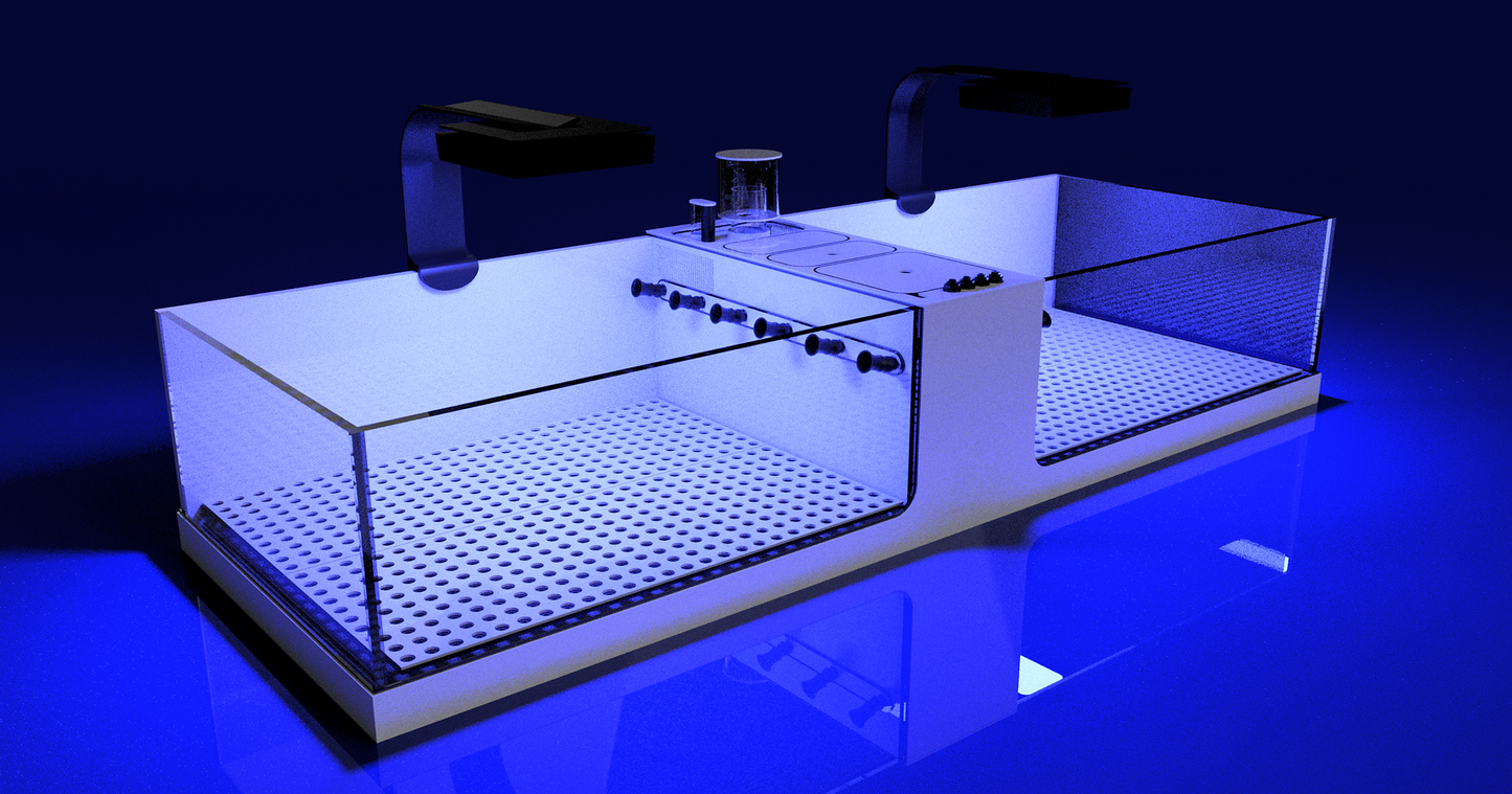 THE POLYP PROS - Frag Tank Double XL