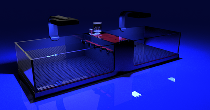 THE POLYP PROS - Frag Tank Double XL