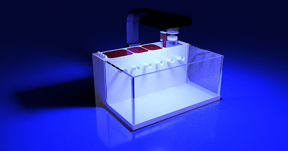 THE POLYP PROS - Large Desktop Tank