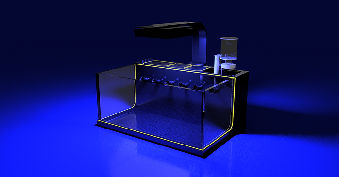 THE POLYP PROS - Large Desktop Tank