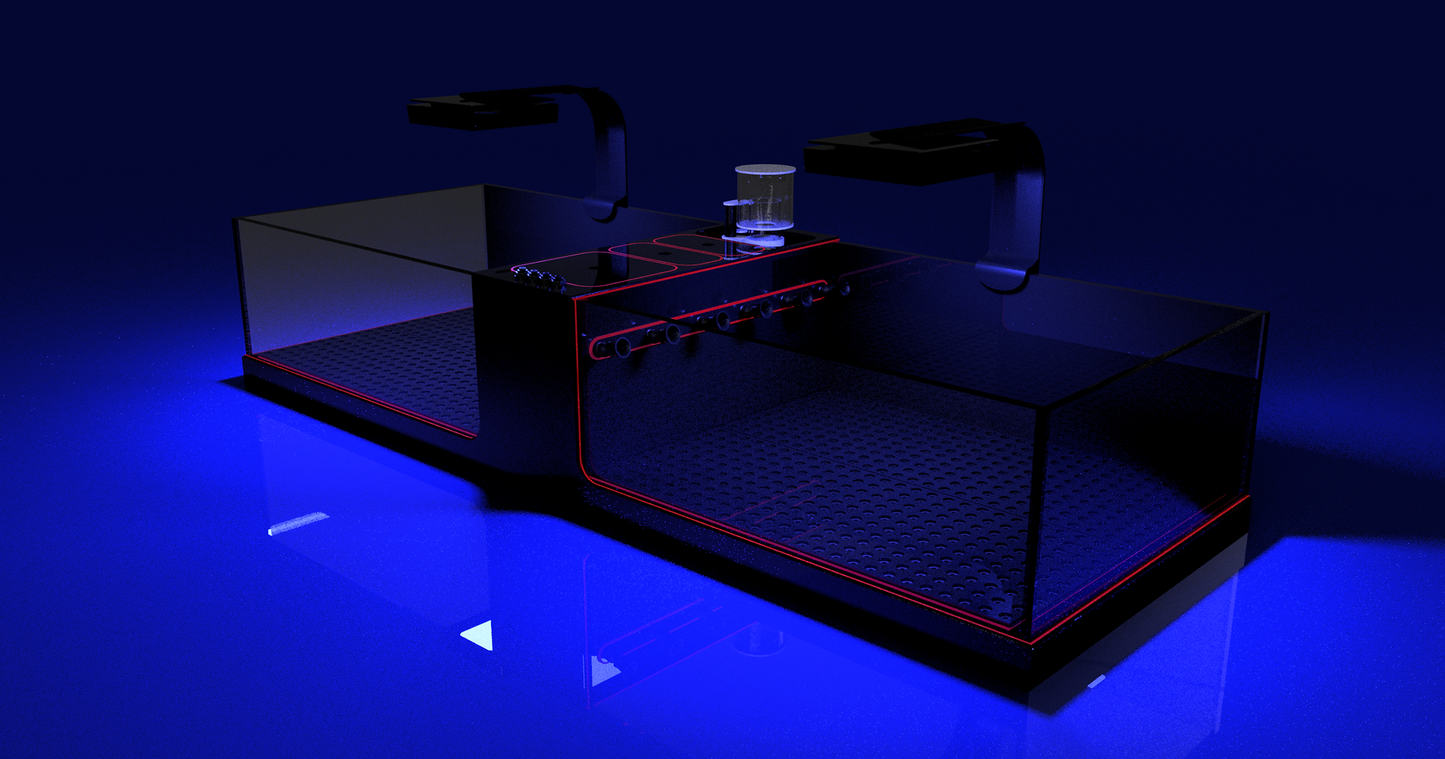 THE POLYP PROS - Frag Tank Double XL