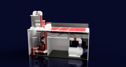 THE POLYP PROS - Frag Tank XL Gen 2 Elite