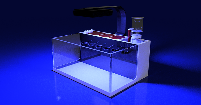 THE POLYP PROS - Large Desktop Tank