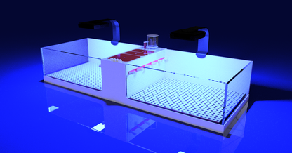 THE POLYP PROS - Frag Tank Double XL