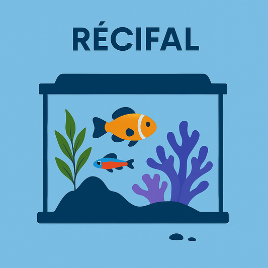 Entretien aquarium récifal