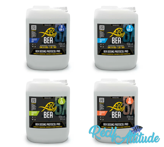 BEA Dosing Protocol Pro - Kit