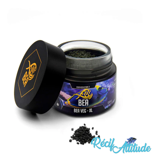 BEA Veg XL