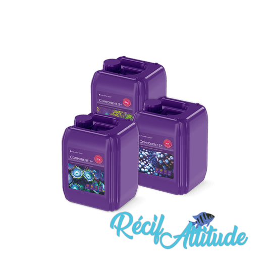 AQUAFOREST Component 1+2+3