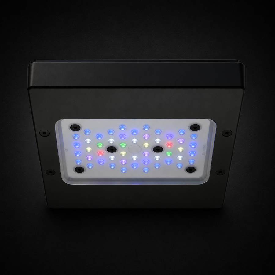 Radion XR15 G6