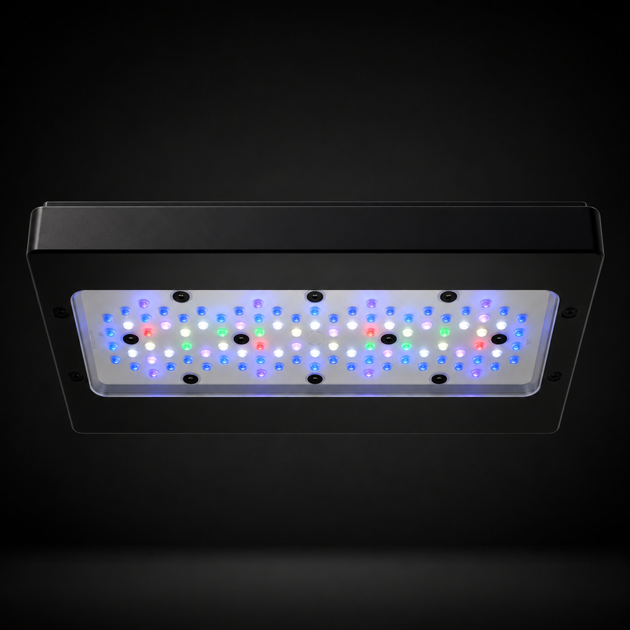 Radion XR30 G6