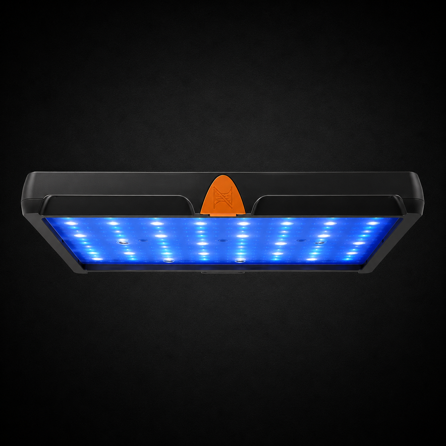 SKY LED