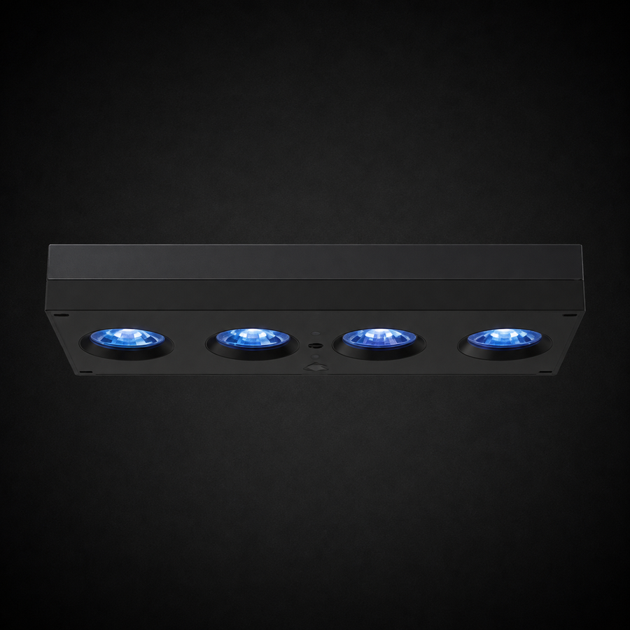 Hydra 64 HD