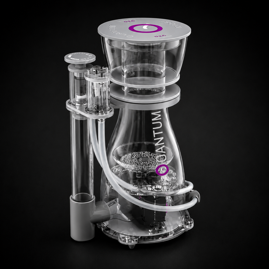 Quantum 300