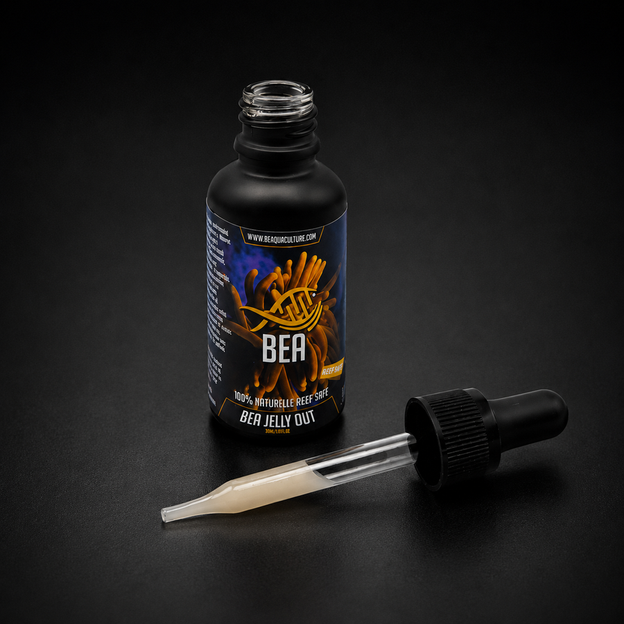 BEA JELLY OUT - 100ml