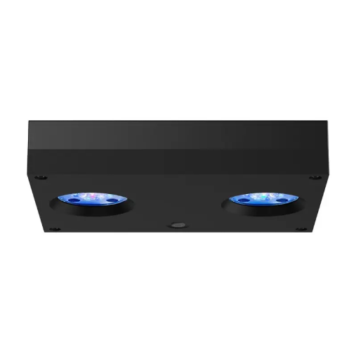 Hydra 32 HD