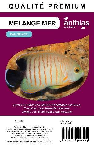 ANTHIAS Mélange mer