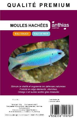 ANTHIAS Moules hachées