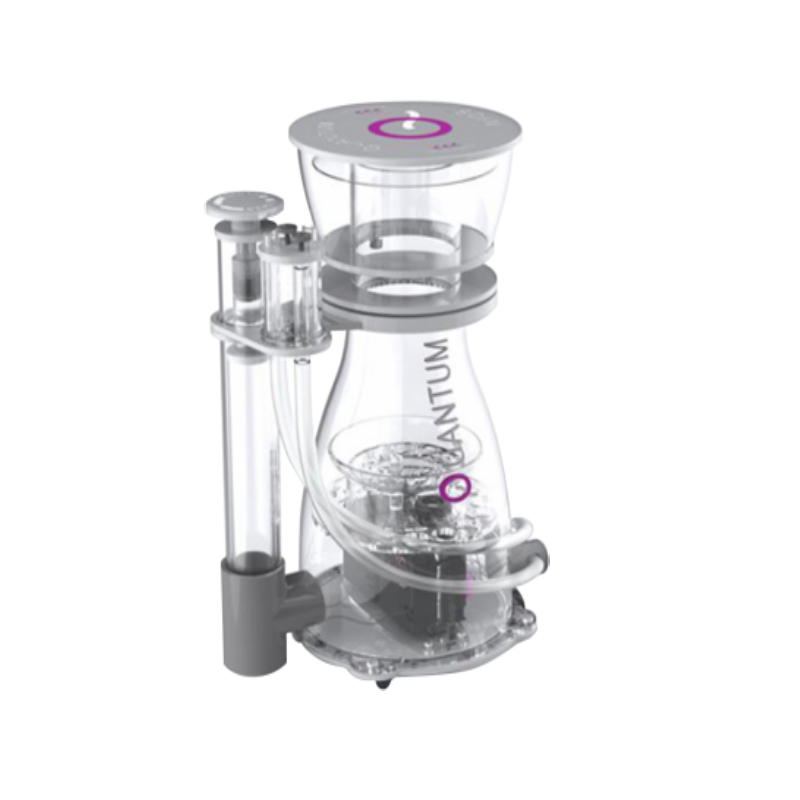 Quantum 300