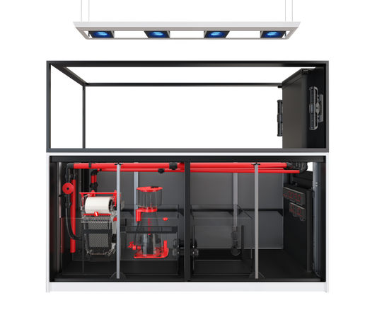 REEFER MAX Peninsula S-950 G3 (ÉQUIPÉ)