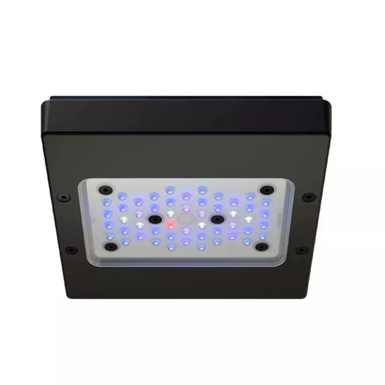 Radion XR15 G6 Blue