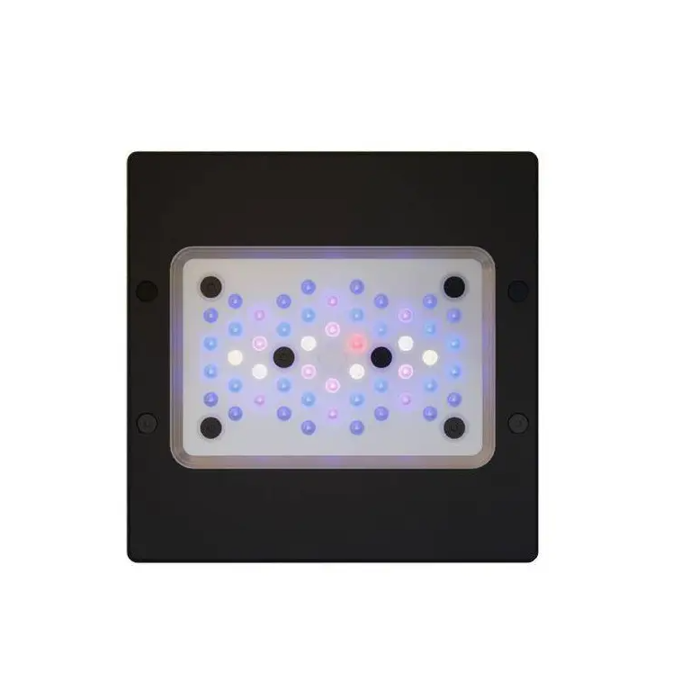 Radion XR15 G6 Blue