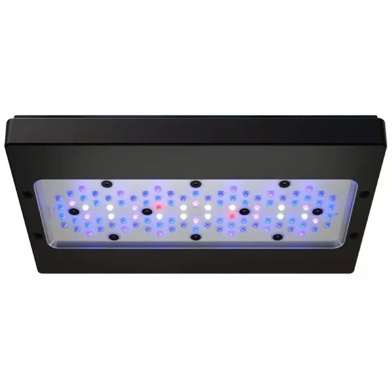 Radion XR30 G6 Blue