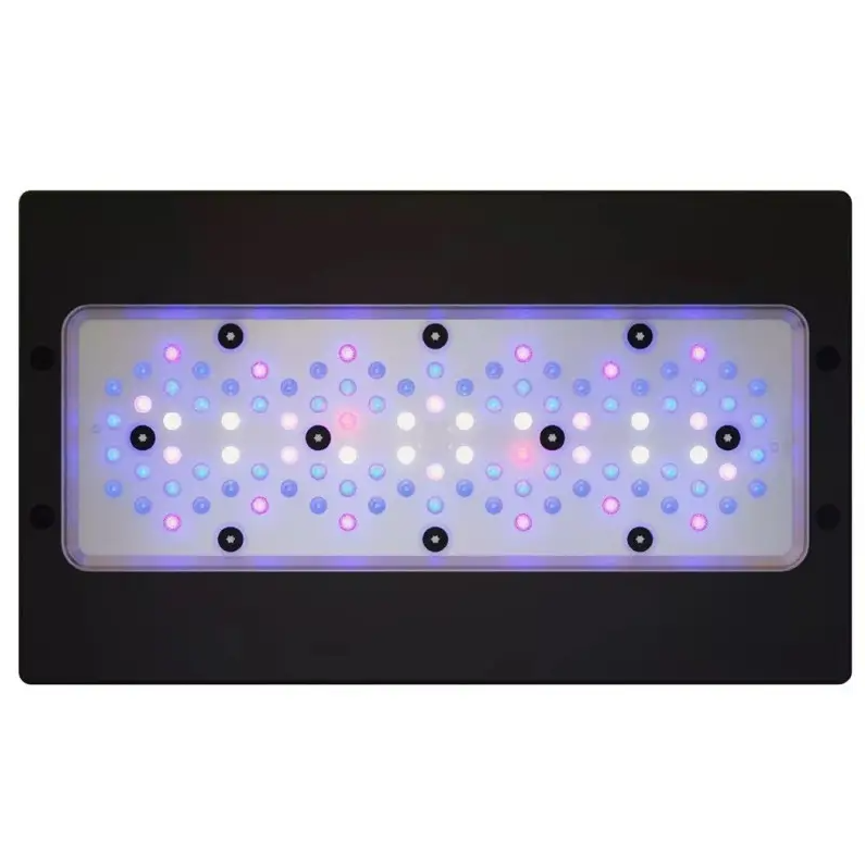 Radion XR30 G6 Blue