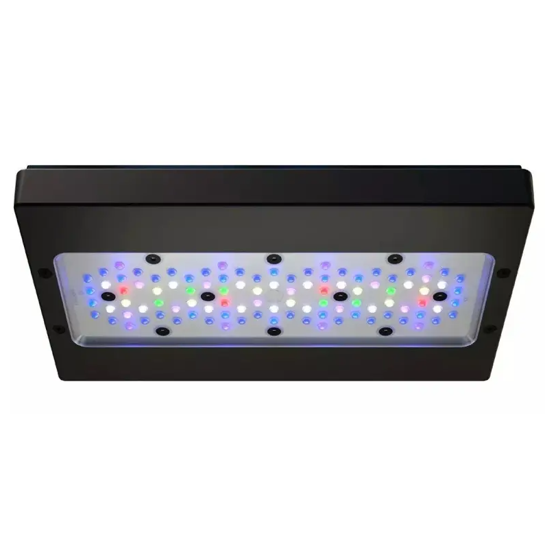 Radion XR30 G6 PRO