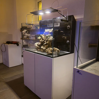 Red Sea E-260 – D’occasion