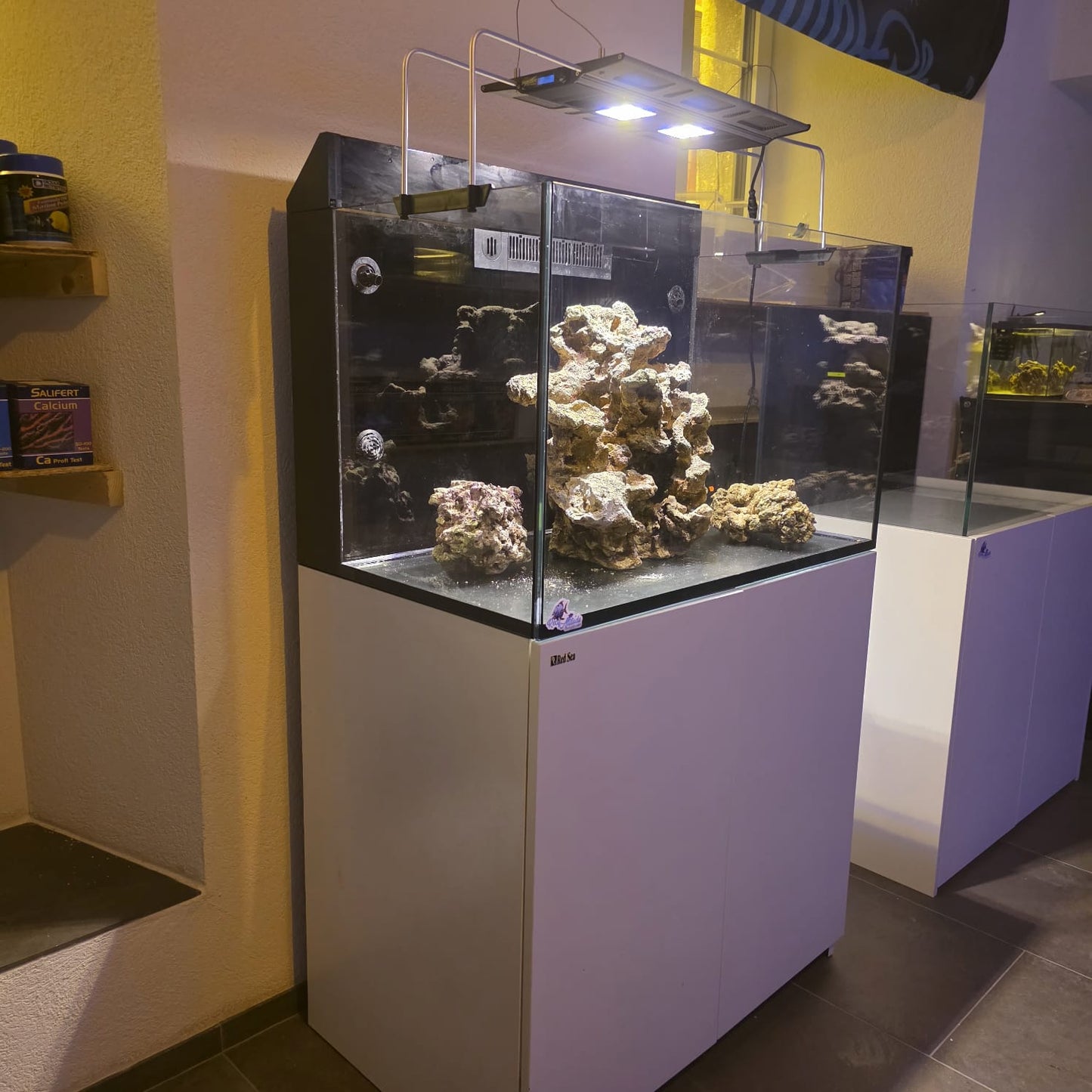 Red Sea E-260 – D’occasion