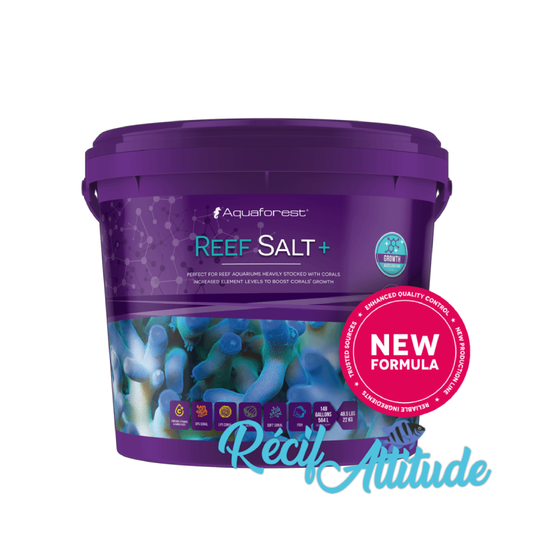 AQUAFOREST Reef Salt +