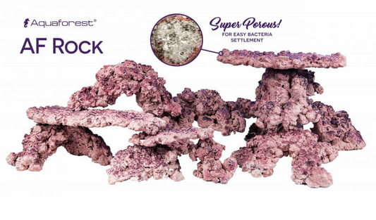 AQUAFOREST AF ROCK ARCHE