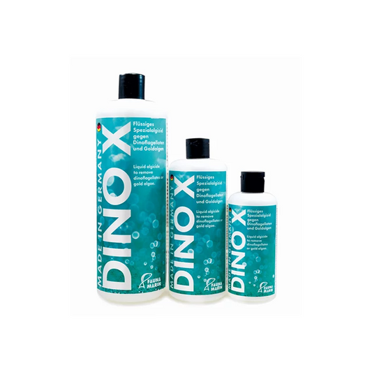 FAUNA MARIN Dino X