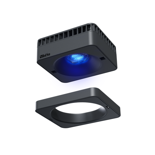 ReefLED G2 - Visière clipsable