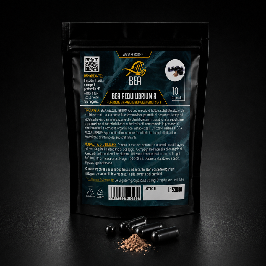 BEA Aequilibrium Kit complet