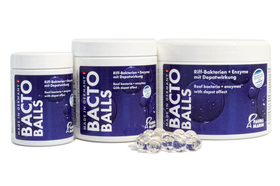 FAUNA MARIN Bacto Reef Balls Marine